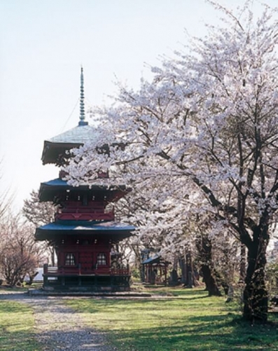 ศาลเจ้า Hiyoshi Hachiman