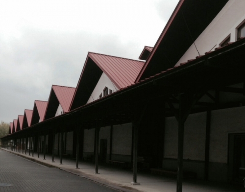 มหาวิทยาลัยศิลปะอาคิตะ