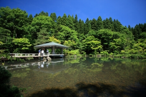 สวนโคอิซูมิกาตะ / ซุยชิเนน (สวนญี่ปุ่น)