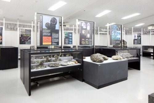 พิพิธภัณฑ์การขุดแห่งมหาวิทยาลัยอาคิตะ