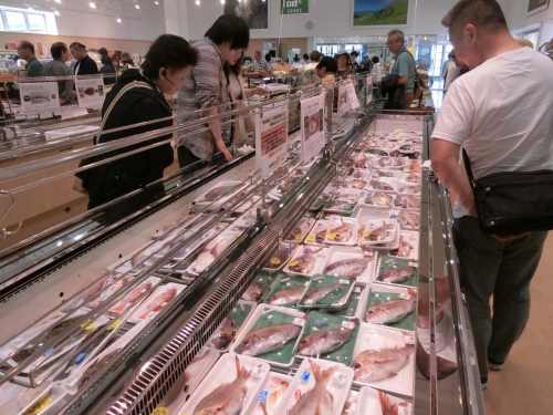 Roadside Station Oga Namahage Village Ogare