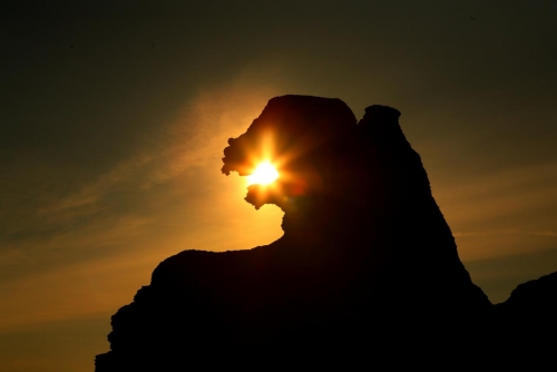 ก็อตซิล่าร็อค